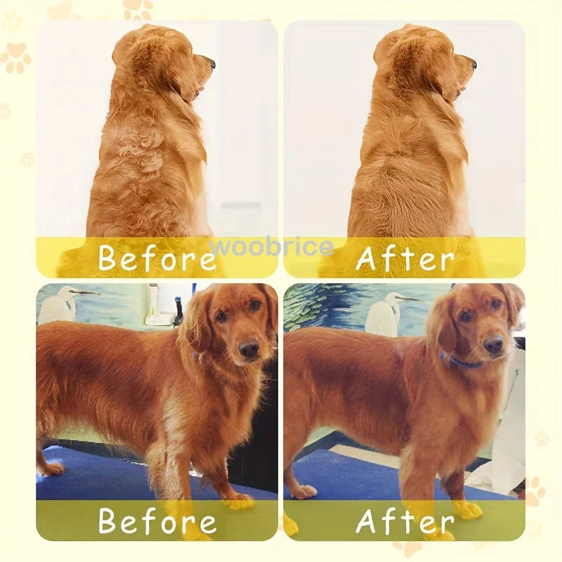 PawfectlyClean™ Steam & Shine Brush 🐾